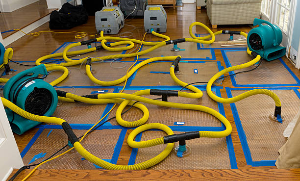 Professional Sewage Cleanup technician working in Julian, CA